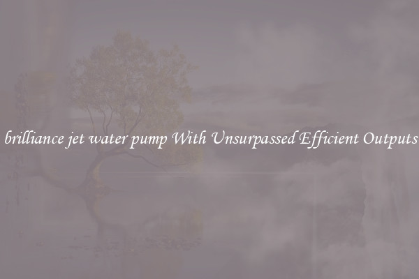 brilliance jet water pump With Unsurpassed Efficient Outputs