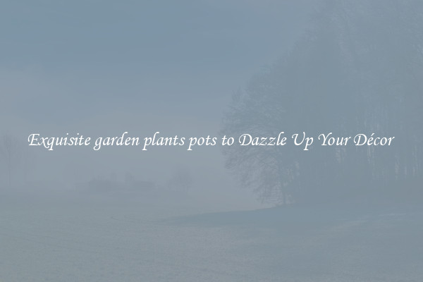 Exquisite garden plants pots to Dazzle Up Your Décor 