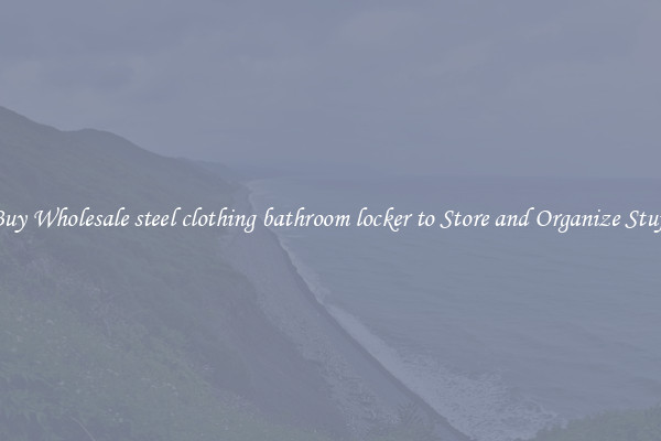 Buy Wholesale steel clothing bathroom locker to Store and Organize Stuff
