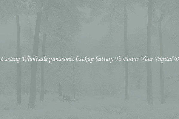 Long Lasting Wholesale panasonic backup battery To Power Your Digital Devices