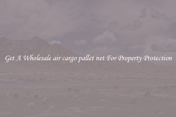 Get A Wholesale air cargo pallet net For Property Protection