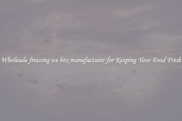 Wholesale freezing ice box manufacturer for Keeping Your Food Fresh