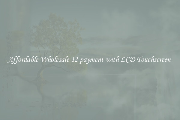 Affordable Wholesale 12 payment with LCD Touchscreen 
