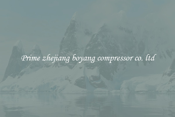 Prime zhejiang boyang compressor co. ltd