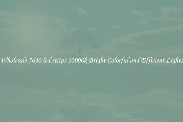 Wholesale 5630 led strips 10000k Bright Colorful and Efficient Lights