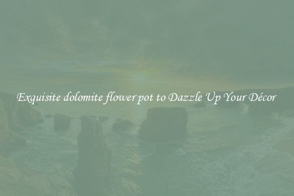 Exquisite dolomite flower pot to Dazzle Up Your Décor 