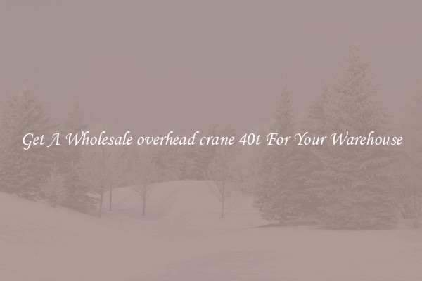 Get A Wholesale overhead crane 40t For Your Warehouse