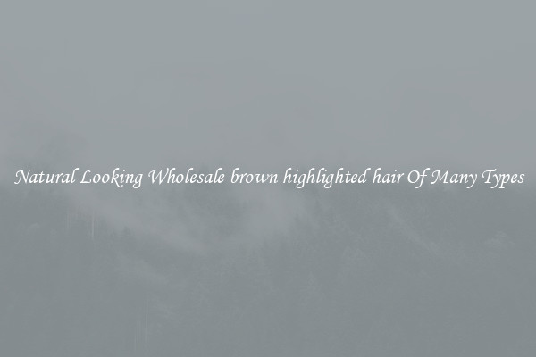 Natural Looking Wholesale brown highlighted hair Of Many Types