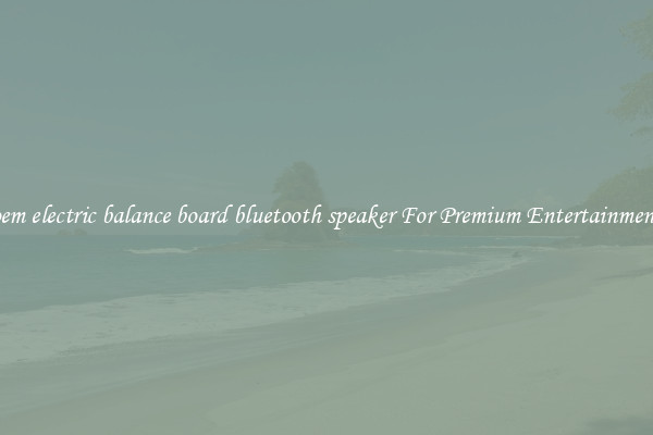 oem electric balance board bluetooth speaker For Premium Entertainment