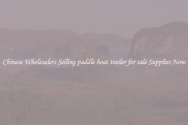 Chinese Wholesalers Selling paddle boat trailer for sale Supplies Now