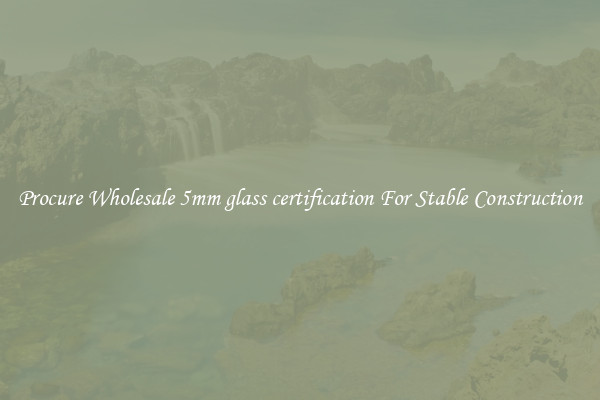 Procure Wholesale 5mm glass certification For Stable Construction