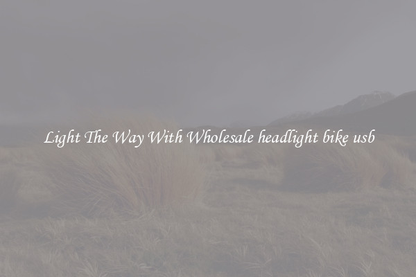 Light The Way With Wholesale headlight bike usb