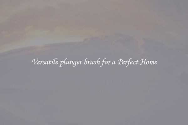 Versatile plunger brush for a Perfect Home