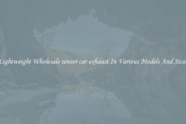 Lightweight Wholesale sensor car exhaust In Various Models And Sizes