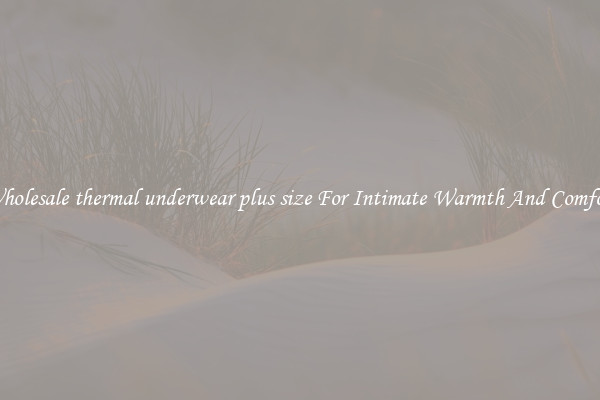 Wholesale thermal underwear plus size For Intimate Warmth And Comfort