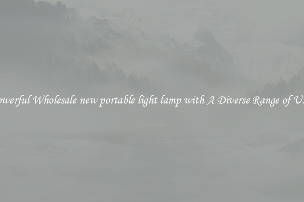 Powerful Wholesale new portable light lamp with A Diverse Range of Uses